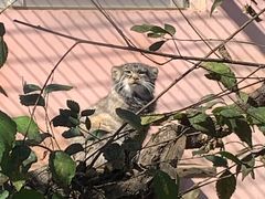 -青藏高原野生动物园