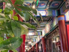 -羲和雅苑•北京烤鸭(平安国际金融中心店)