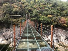 -燕子河大峡谷天坑仙境