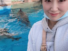 -泉城欧乐堡海洋极地世界