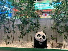 -麻辣空间·清油火锅(万达广场店)