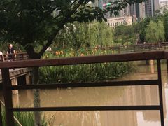 -沐仙湖湿地公园