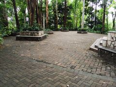 -南岗山公园