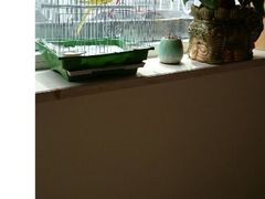 android_upload_pic-自由之丘