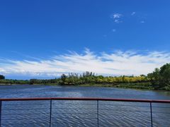 -东郊湿地公园