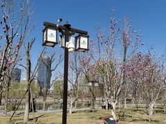 -西海子公园