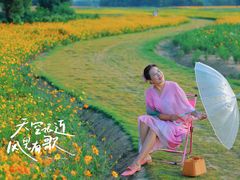 -长广溪湿地公园
