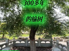 -西海子公园