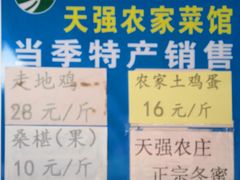 -天强农家菜馆