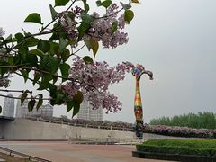 -群力丁香公园