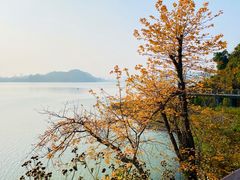 -青山湖景区