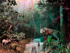 -武汉园博园(武汉自然博物馆)