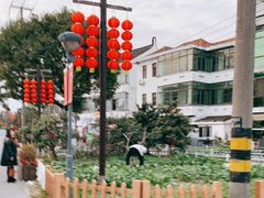 -锦江中华村农家乐饭庄