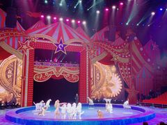 -珠海横琴长隆《卡卡虎奇遇记》