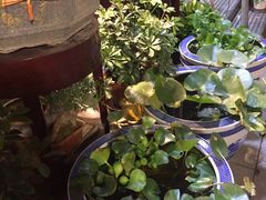 -万卉源鲜花店(百尚生活广场店)