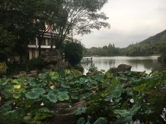 -杭州世外桃源君澜度假酒店