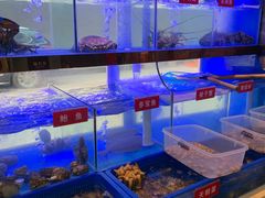 -小龍鳳·港式海鲜打边炉(沙湖路店)