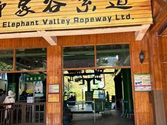 -野象谷景区