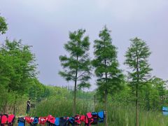 -上海长兴岛郊野公园