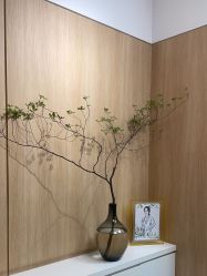 -西安伊美尔医疗美容医院