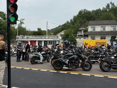 -青龙山国家森林公园