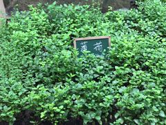 -沪小二炭火蛙锅(淮海中路美食不夜城店)