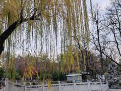 -莲湖公园