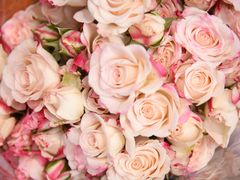 -循礼门鲜花花市(武汉循礼门店)