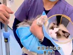 -萌兽医馆·犬猫专科·眼科中心·宠物医院(朝阳门分院)