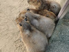 -茅山东方盐湖城景区