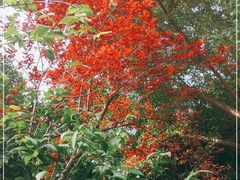 -上海市龙华烈士陵园