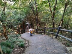 -紫金山山顶公园