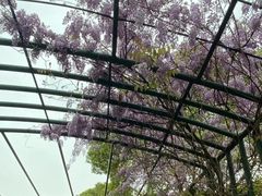 -渤公岛生态公园