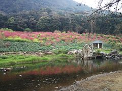-广州市石门国家森林公园