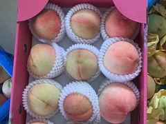 -南汇水蜜桃采摘(大团店)