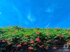 -老门东历史文化街区