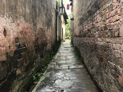 -羊楼洞