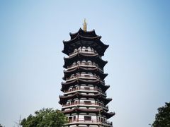 -洋湖国家湿地公园