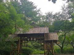 -上海市保健医疗中心