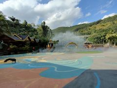 -西双版纳原始森林公园
