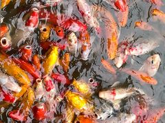 -泰安地下龙宫景区