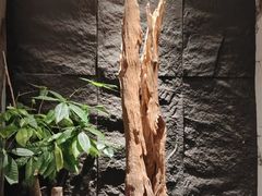 -观宴·品质赣菜(高新大道店)