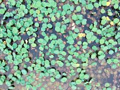 -北京天湖会议中心