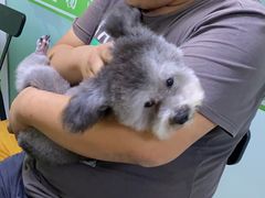 -圣宠动物医院·犬猫专科·影像中心·外科中心