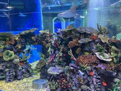 -成都浩海立方海洋公园