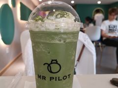 -飞行喵MR PILOT|猫舍·猫咖(静安大融城店)