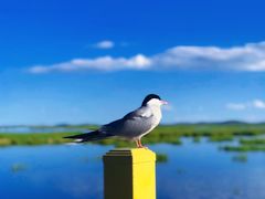 -花湖生态旅游区