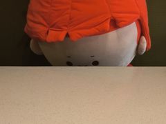 -海底捞火锅(宝龙广场夜宵主题店)