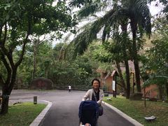 -七仙岭君澜度假酒店·桃源小馆中餐厅