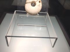-辽宁省博物馆